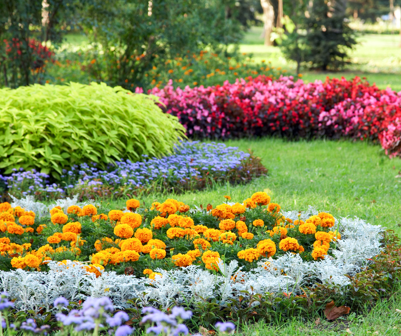 DECORACIÓN DE PATIOS Y TERRAZAS 